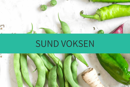 Kostvejledning Voksne